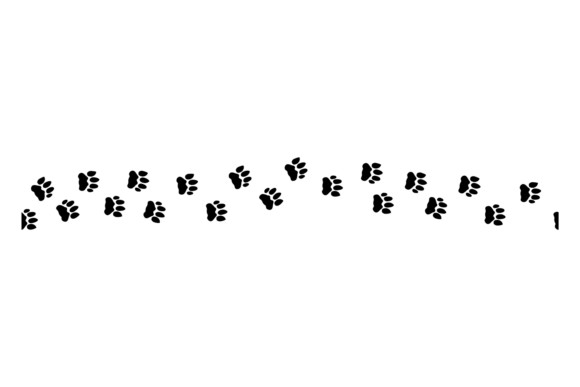 Dog Footprints Trail Embroidery Design Review