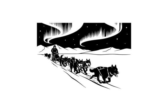 Dog Sled Team in Winter Motion